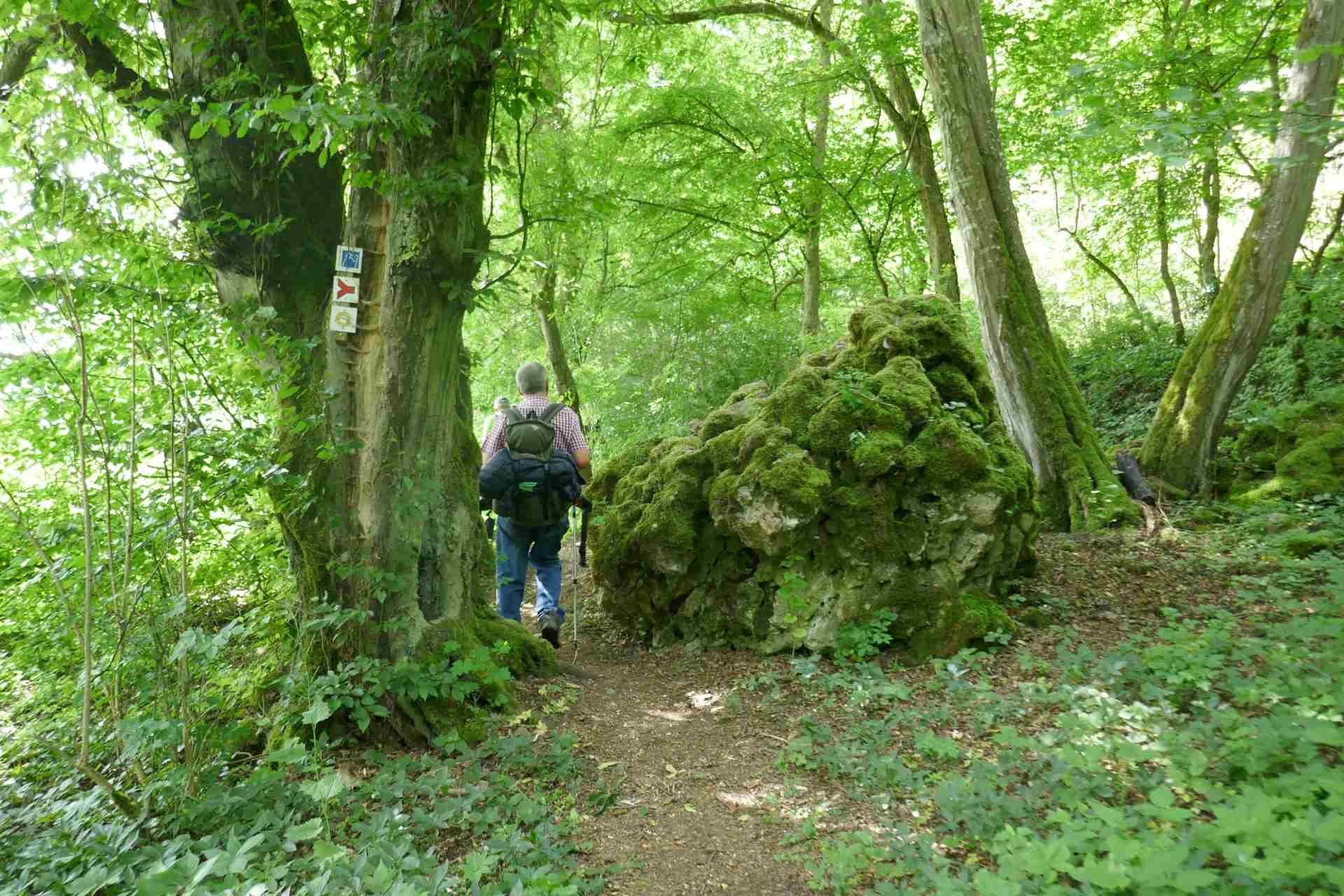 05 Albschäferweg - 2 Tages Wanderung im Juni